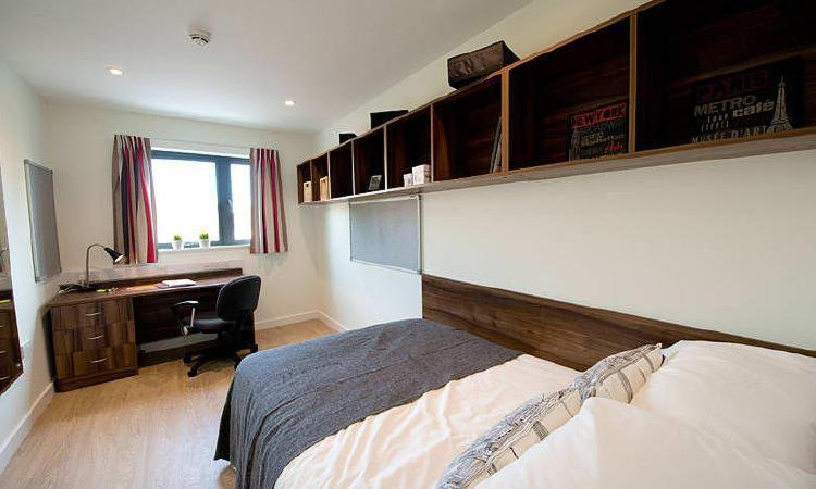 Zeni 5 Bed Apartment In Central 埃克塞特 外观 照片